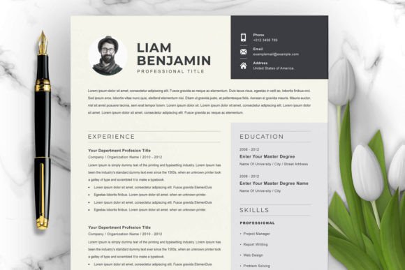 Download Curriculum Vitae / CV Template - Premium Resources
